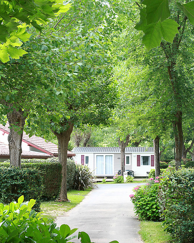 Camping Zelaia - The Campsite - Mobile homes surrounded of trees