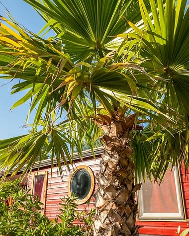 Camping Californie Plage - Le cœur de village - Location de vacances