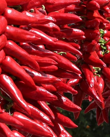 Camping Zelaia - Vente de piment d\'Espelette au march&eacute; de Saint-Jean-de-Luz