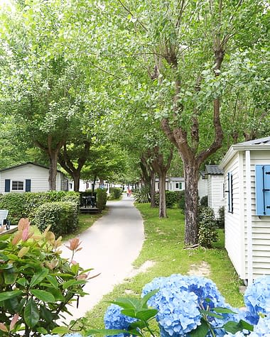 Camping Zelaia - Le camping - Locations de vacances &agrave; Ascain