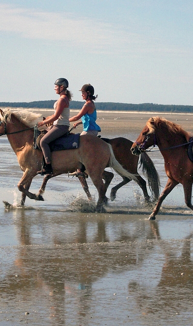 Baie de Somme - paardrijtocht
