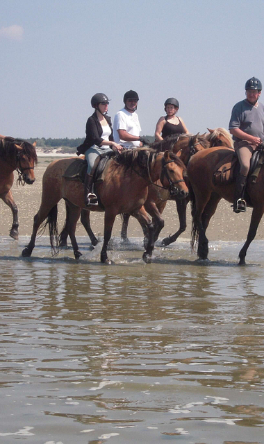 Baie de Somme estuary - horse riding