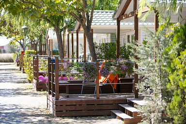 Amfora campsite - The campsite - Tree-lined paths 