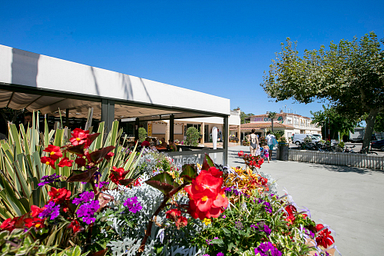 Camping Amfora - Le camping - Terrasse du restaurant et entrée du camping