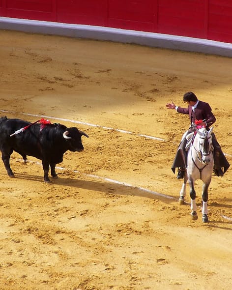 Corrida &agrave; B&eacute;ziers