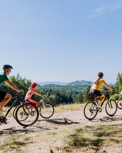 Camping Zelaia - Activités et animations - Randonnée en vélo