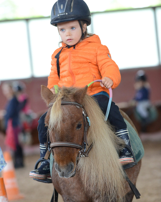 Camping Zelaia - Centre équestre Saint Hélène - manège couvert