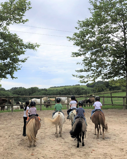 Camping Zelaia - Centre équestre Saint Hélène - Poney club