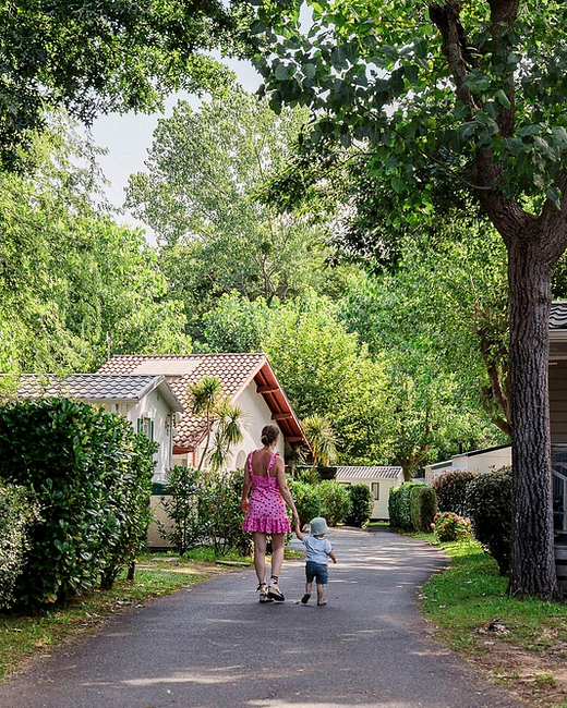 Camping Zelaia - Camping - Promenade dans les allées