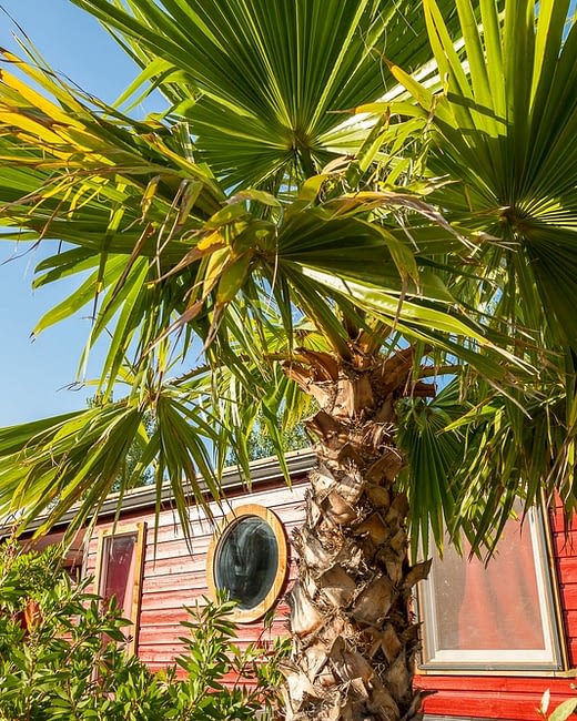Campingplatz Californie Plage - Die Anlage - umweltfreundlicher Campingplatz