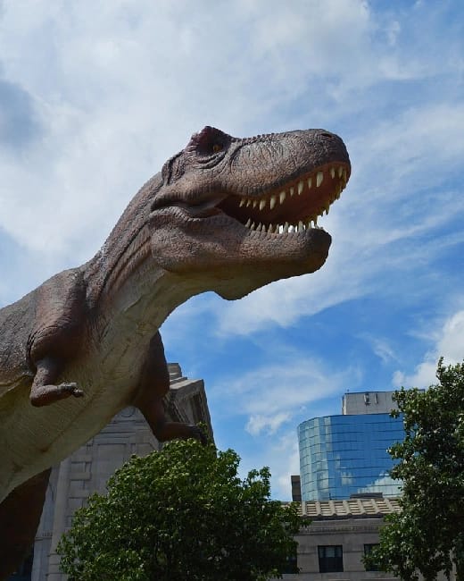 Dinosaure Parc &agrave; M&egrave;ze