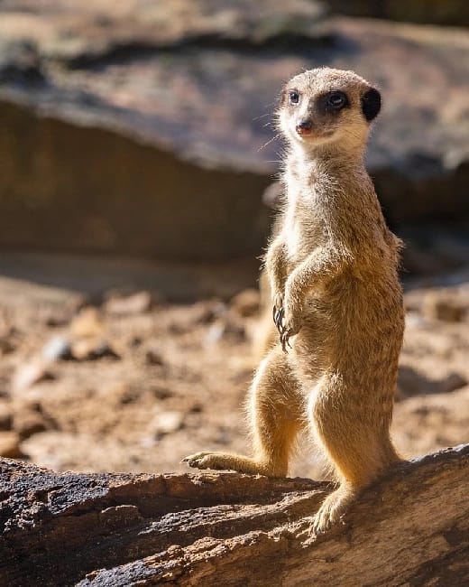 Parcs et loisirs en plein air pr&egrave;s de Vias