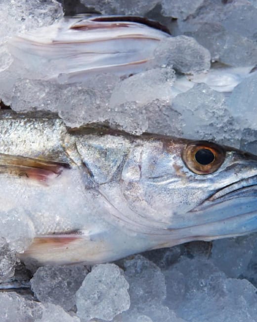 La Poissonnerie du Cap