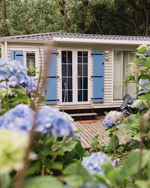 Camping Zelaia - Vista de los senderos floridos del camping