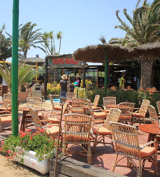 Camping Amfora - Bars et Restaurants - Terrasse du Tropic-beach