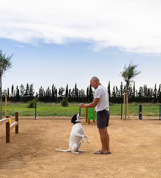 Camping Amfora - Servicios y tiendas - Camping para los animales de compañía