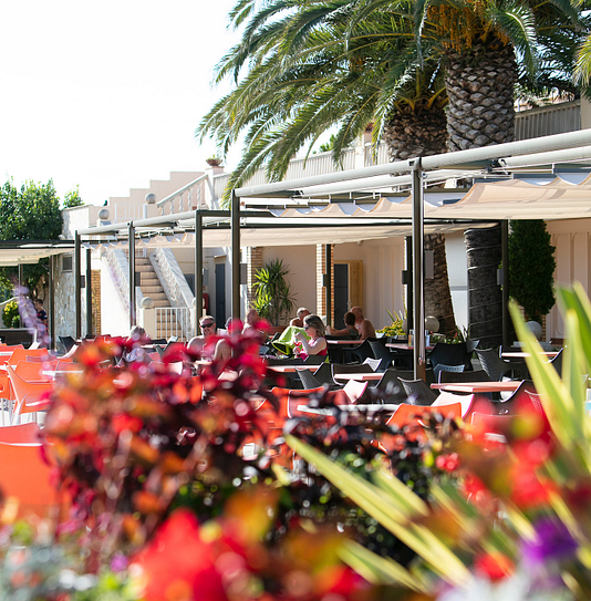 Campingplatz Amfora - Bars und Restaurants - Terrasse des Restaurants und die Grünflächen des Campingplatzes