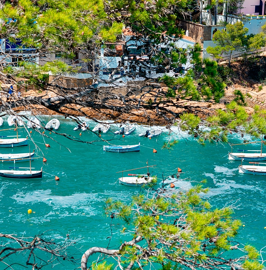 Campingplatz Amfora - Die Region - Tuna Beach in Begur