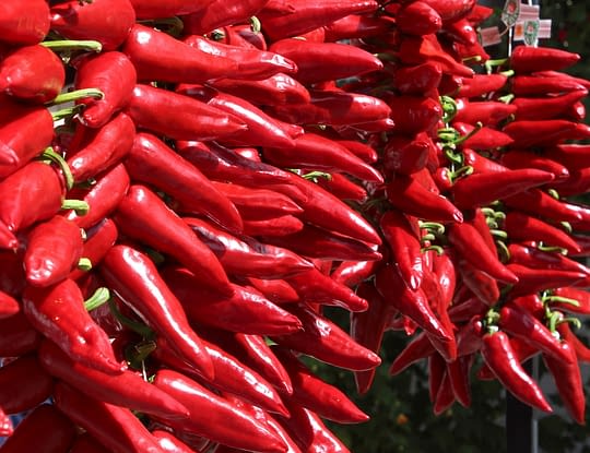 Camping Zelaia - Selling of Espelette pepper at the Saint-Jean-de-Luz market
