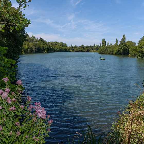 Lac proche du Domaine de Mesqueau ©Yann Richard