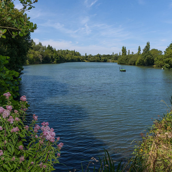 &eacute;tang de p&ecirc;che &agrave; c&ocirc;t&eacute;  du Domaine de Mesqueau camping maeva Respire Plougasnou Baie de Morlaix Finist&egrave;re Bretagne