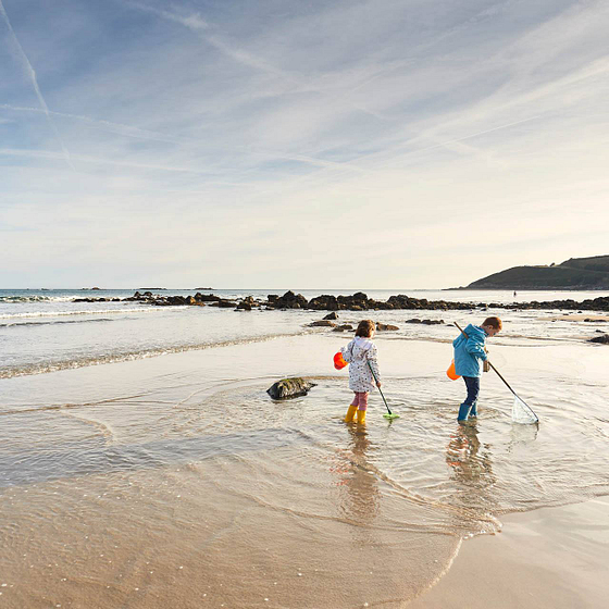 Enfants pratiquant la pêche à pied sur une plage de la Baie de Morlaix, en Bretagne, lors d\'une journée ensoleillée.