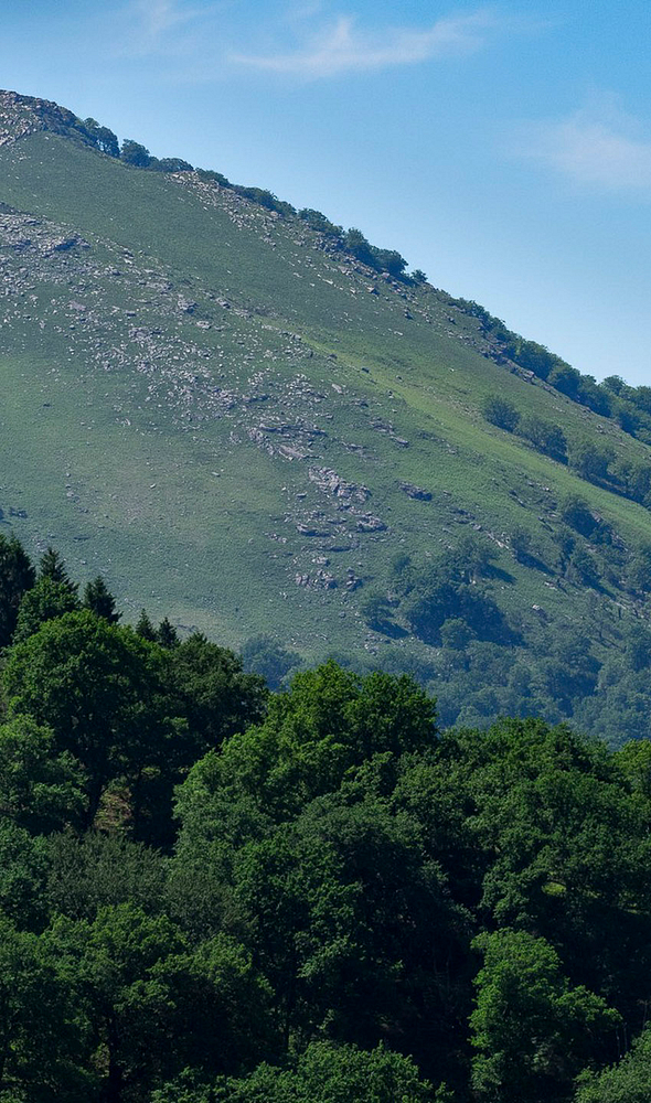 Camping Zelaia - View of montain la Rhune