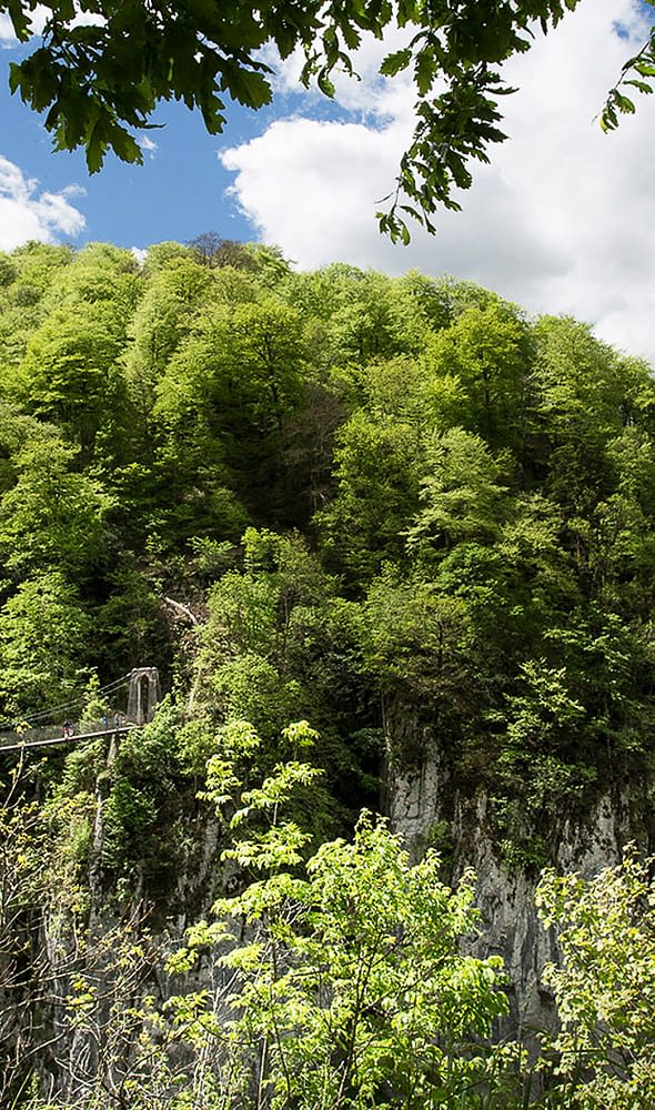 Camping Zelaia - La passerelle d&rsquo;Holzarte