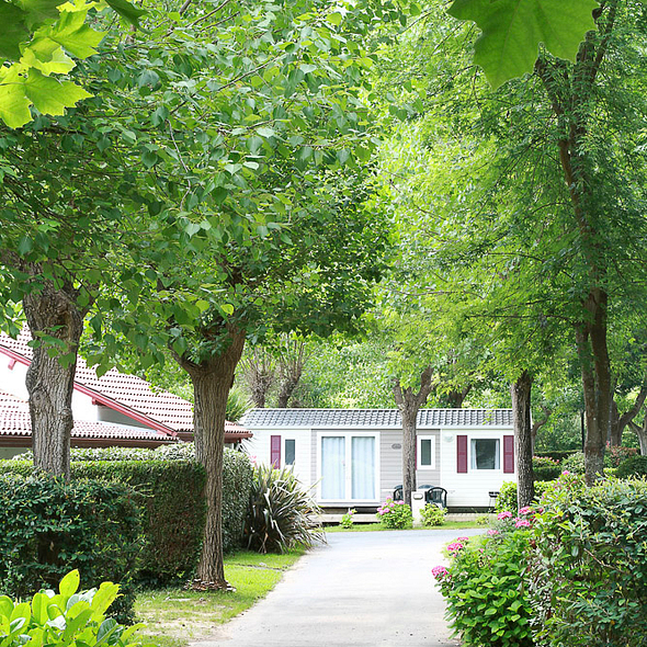 Camping Zelaia - The Campsite - Mobile homes surrounded of trees