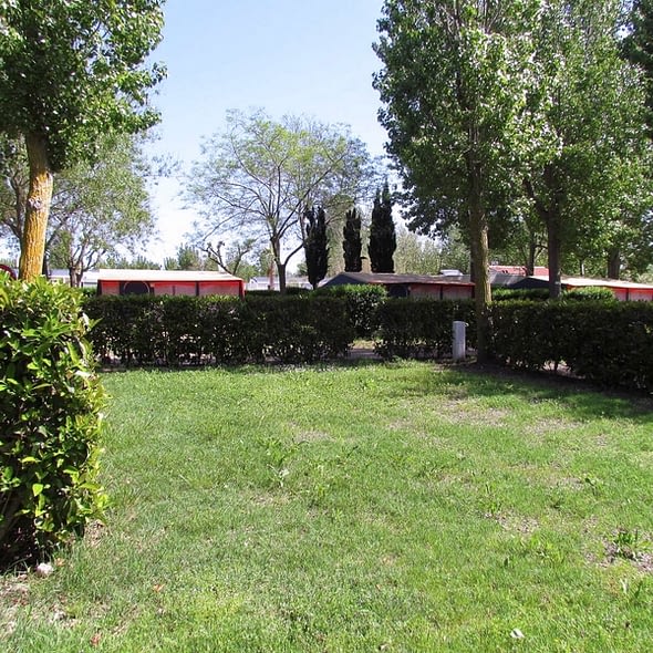 Camping Californie Plage - Hébergements - Emplacement Premium grande surface