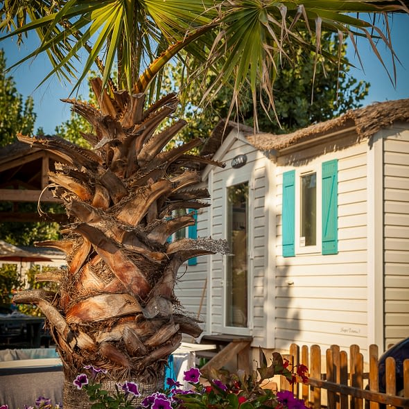 Camping Californie Plage - Démarches pour l\'environnement - 