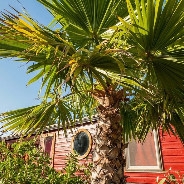 Camping Californie Plage - Environnement du camping