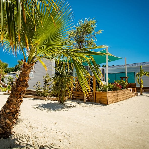 Camping Californie Plage - Hébergement dans des allées végétalisées
