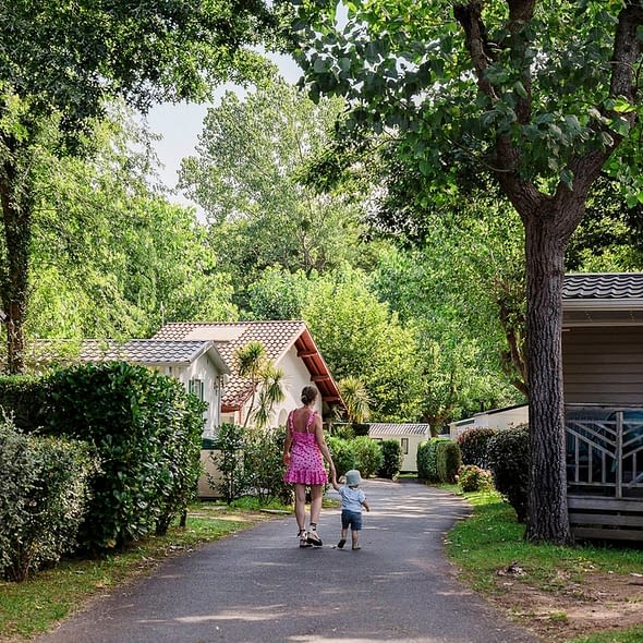 Camping Zelaia - Camping - Promenade dans les all&eacute;es