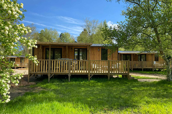 Vue ext&eacute;rieure du Lodge &Ocirc; COZY \"844\" en bardage bois avec terrasse semi-couverte, nich&eacute; dans un environnement arbor&eacute; au Domaine de Mesqueau &agrave; Plougasnou.