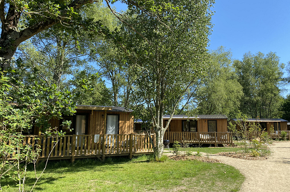 Vue d\'ensemble des Lodges &Ocirc; COZY 804 int&eacute;gr&eacute;s dans un environnement arbor&eacute; au Domaine de Mesqueau.