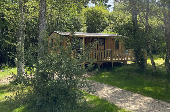 Lodge &Ocirc; COZY \"844\" avec terrasse en bois install&eacute; sous de grands arbres dans un environnement calme et verdoyant.