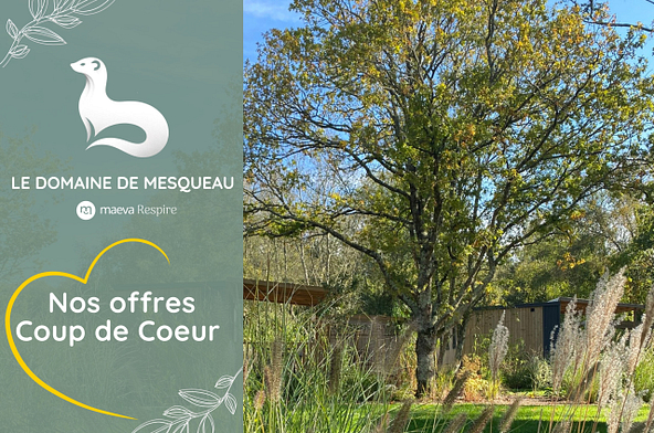 d&eacute;couvrez nos offres Coup de C&oelig;ur au Domaine de Mesqueau
