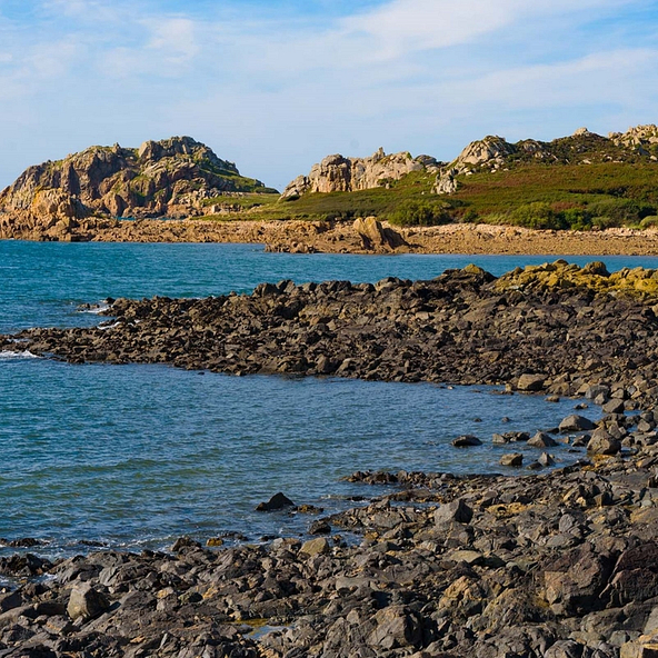 Côte de Plougasnou ©Yann Richard