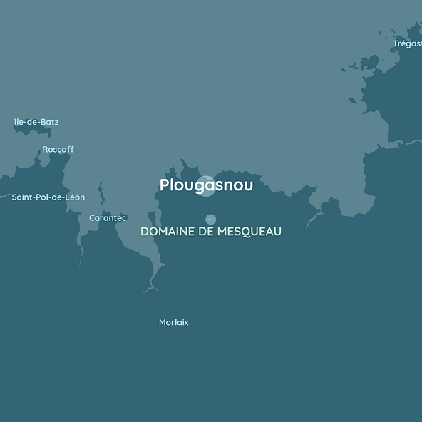 plougasnou map