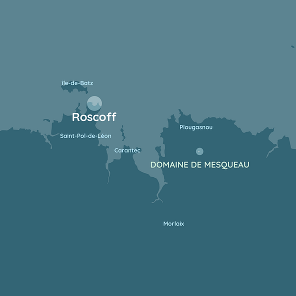 Roscoff map
