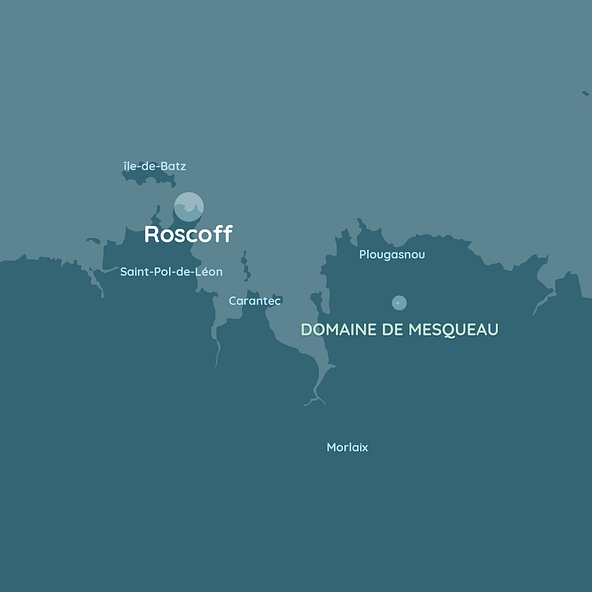 carte roscoff