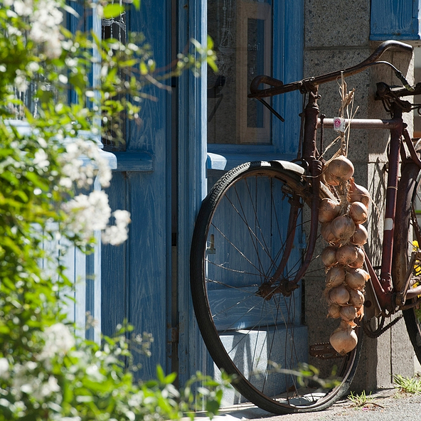 old bike in Roscoff © Emmanuel Berthier