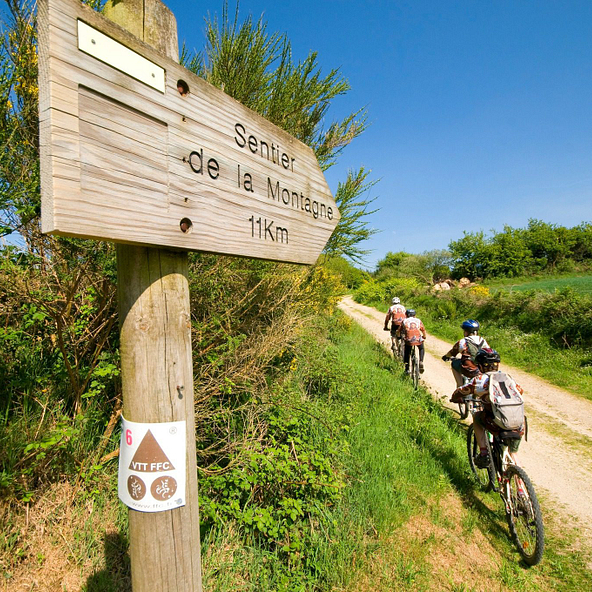 Cyclistes parcourant le Sentier de la Montagne dans les Monts d\'Arrée, un itinéraire balisé pour VTT au cœur de la nature bretonne