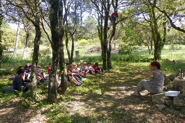 Geschichten, die für Kinder inmitten der Natur unter Bäumen erzählt werden - Campingplatz Fréjus Ecolodge L‘Etoile d\'Argens