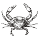 Domaine de Bagheera: Granchio