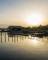 Domaine de Bagheera, Experience, Étang d'Urbino lagoon, Aléria, in northern Corsica