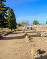 Domaine de Bagheera, Experience, Roman ruins in Aléria