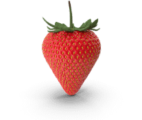 Erdbeere