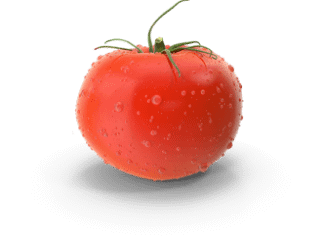 Tomate
